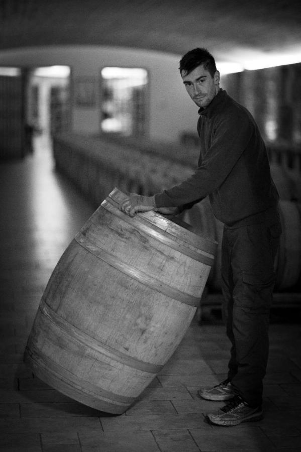 Il Roncal Wine Resort - For Wine Lovers Cividale del Friuli Exterior foto