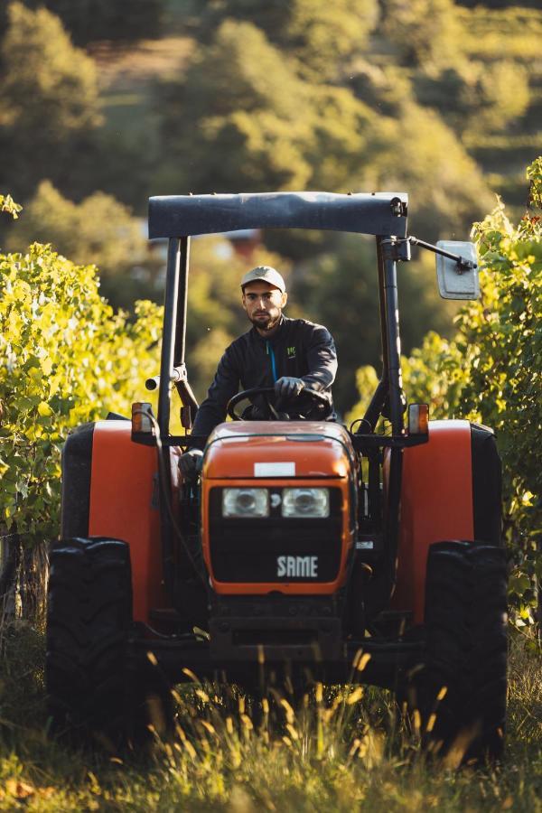 Il Roncal Wine Resort - For Wine Lovers Cividale del Friuli Exterior foto
